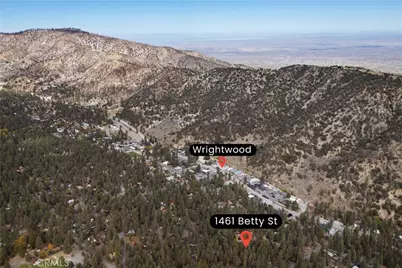 1461 Betty Street, Wrightwood, CA 92397 - Photo 37