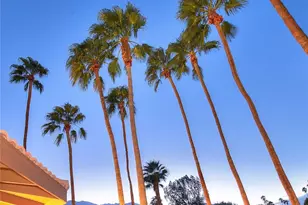 1281 Linda Vista, Palm Springs, CA 92262 - Photo 41