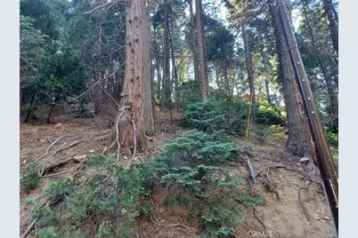 0 Lake Drive, Lake Arrowhead, CA 92352 - Photo 3