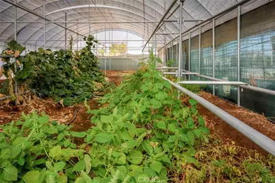 9331 Manada, Phelan, CA 92371 - Photo 29