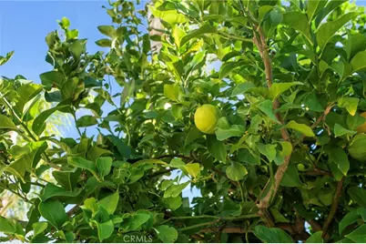 11389 Padova Drive, Rancho Cucamonga, CA 91701 - Photo 33