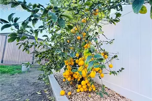 15143 Jacquetta, Moreno Valley, CA 92551 - Photo 25