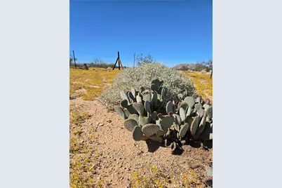 60033 Sespe, Landers, CA 92285 - Photo 7