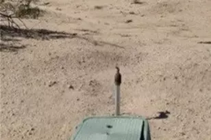 3232 Meldora, 29 Palms MCB, CA 92277 - Photo 5