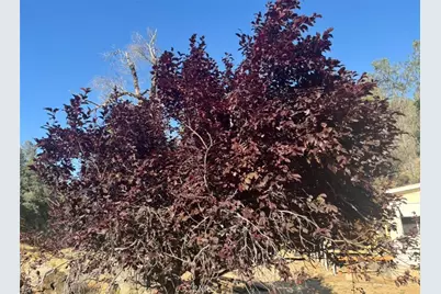 18266 Caliente Creek Road, Caliente, CA 93518 - Photo 25