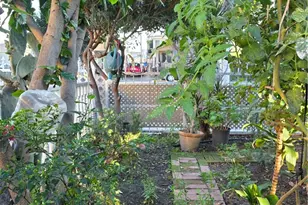 351 E 92nd, Los Angeles, CA 90003 - Photo 21