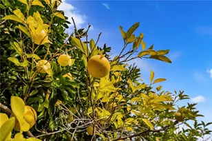 8446 Red Hill Country Club, Rancho Cucamonga, CA 91730 - Photo 31