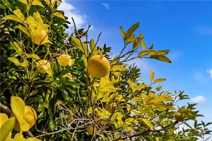 8446 Red Hill Country Club, Rancho Cucamonga, CA 91730 - Photo 31