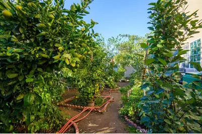 1553 W Ceres, Rialto, CA 92376 - Photo 53