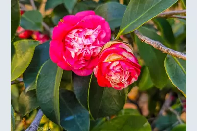 725 S Gaybar, West Covina, CA 91790 - Photo 13