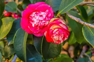 725 S Gaybar, West Covina, CA 91790 - Photo 13