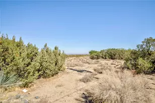 2142 Cbs (Trinity) Ln, Pinon Hills, CA 92372 - Photo 7