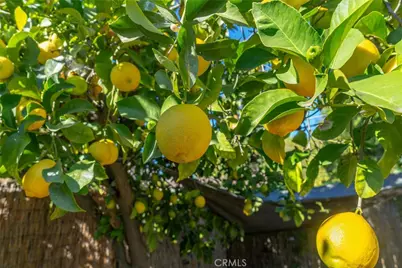 643 Cypress Circle, Redlands, CA 92373 - Photo 39