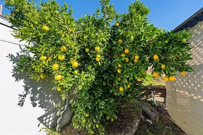 11795 Crystal, Chino, CA 91710 - Photo 13