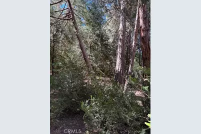 54805 S South Circle, Idyllwild, CA 92549 - Photo 43