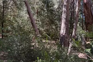54805 S South Circle, Idyllwild, CA 92549 - Photo 43