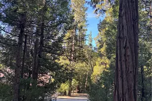 54805 S South Circle, Idyllwild, CA 92549 - Photo 29