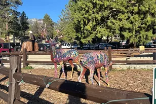 54805 S South Circle, Idyllwild, CA 92549 - Photo 29