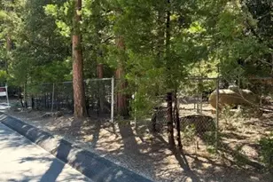 54805 S South Circle, Idyllwild, CA 92549 - Photo 45
