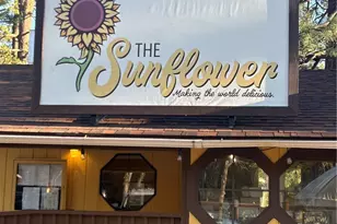 54805 S South Circle, Idyllwild, CA 92549 - Photo 31