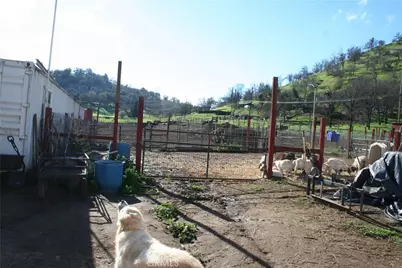 38290 38290 Roundtree Lane, Squaw Valley, CA 93675 - Photo 13