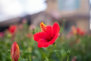 5212 Crimson Pl, Rancho Cucamonga, CA 91739 - Photo 53