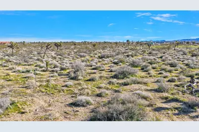 11982 Redwood Road, Pinon Hills, CA 92372 - Photo 13