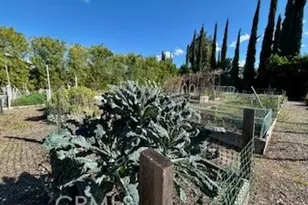 21709 Bene Dr, Saugus, CA 91350 - Photo 23