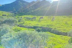 7908 Zona Ct, Riverside, CA 92507 - Photo 51