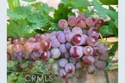 7908 Zona Court, Riverside, CA 92507 - Photo 41