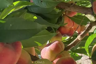 7908 Zona Ct, Riverside, CA 92507 - Photo 45