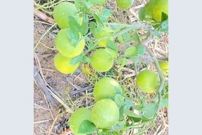 7908 Zona Court, Riverside, CA 92507 - Photo 39