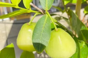 7908 Zona Ct, Riverside, CA 92507 - Photo 43