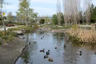 4878 Streambay Ct, Riverside, CA 92505 - Photo 33