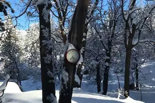 33303 Lakeview Dr, Arrowbear, CA 92382 - Photo 41