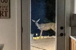 33303 Lakeview Dr, Arrowbear, CA 92382 - Photo 51