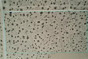 66250 Sullivan Rd, Joshua Tree, CA 92252 - Photo 1