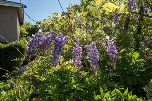 5526 Bonfair, Lakewood, CA 90712 - Photo 3