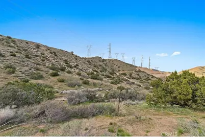 32301 Angeles Forest, Palmdale, CA 93550 - Photo 21