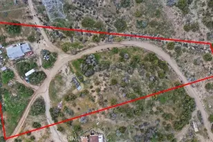 32301 Angeles Forest, Palmdale, CA 93550 - Photo 39