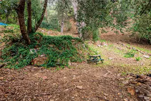 16 Barrett, Mount Baldy, CA 91759 - Photo 31