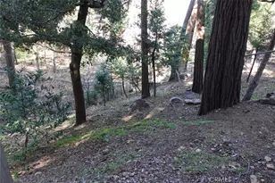 23950 Bowl Rd, Crestline, CA 92325 - Photo 17