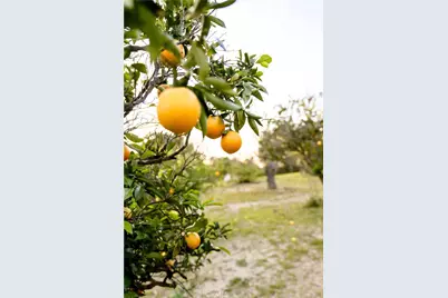 804 El Paisano, Fallbrook, CA 92028 - Photo 57