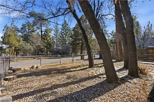 44667 Barton, Sugarloaf, CA 92386 - Photo 23