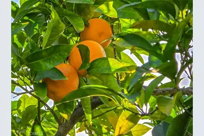 2244 N La Paz, Claremont, CA 91711 - Photo 59