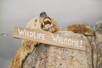 827 Penninsula, Big Bear Lake, CA 92315 - Photo 27