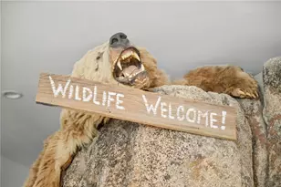 827 Penninsula, Big Bear Lake, CA 92315 - Photo 27