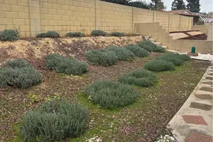 3620 Moreno, La Verne, CA 91750 - Photo 21