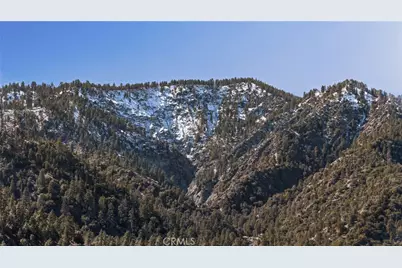 2400 E Canyon Drive, Wrightwood, CA 92397 - Photo 51