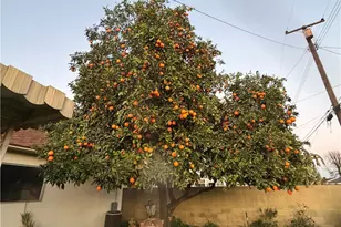 5039 Tyler, Chino, CA 91710 - Photo 19